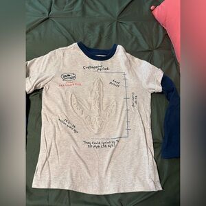 Boys Dino Top